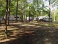 Guy Fanguy - Artist - Photographer - Guy Fanguy - Campgrounds - Louisiana - Indian Creek Camp Ground (11).jpg Size: 150730 - 5